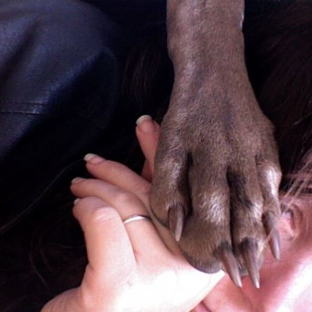 Meet your Posher, Lisa